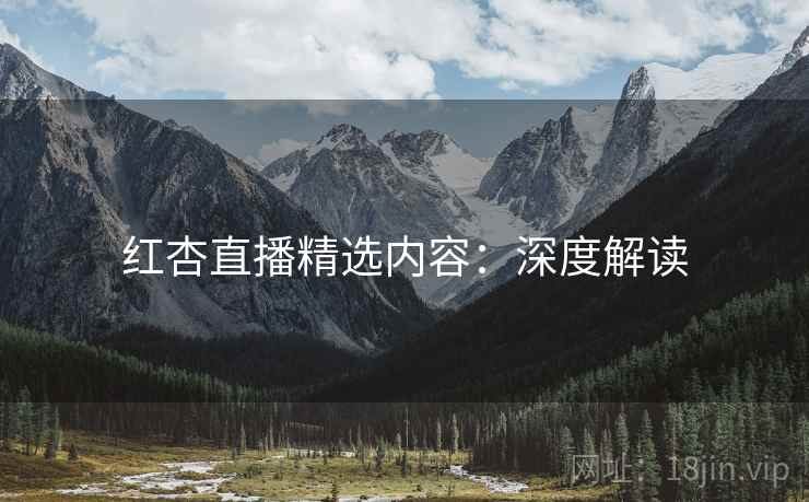 红杏直播精选内容：深度解读