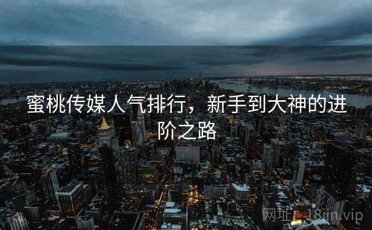 蜜桃传媒人气排行，新手到大神的进阶之路