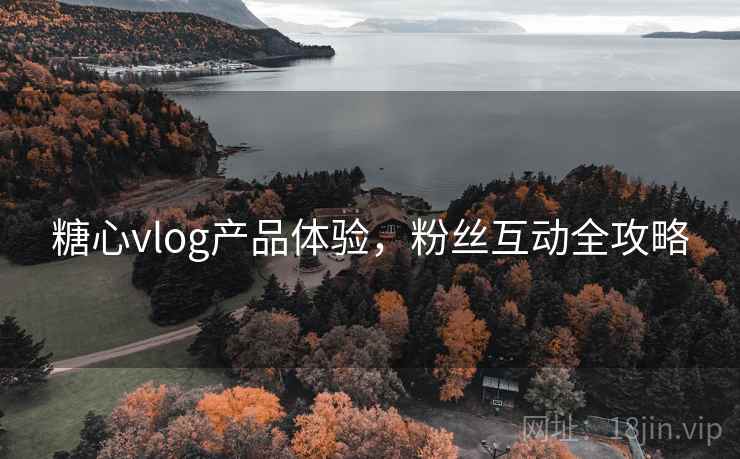糖心vlog产品体验，粉丝互动全攻略  第2张